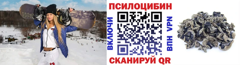 купить наркоту  Полысаево  Псилоцибиновые грибы мицелий 
