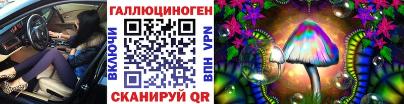 Галлюциногенные грибы Psilocybe Полысаево
